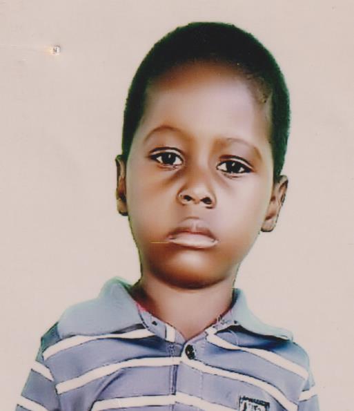 علي  الحاج محمود 