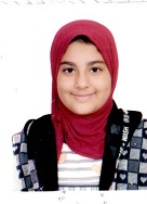 رضوى حماده حسن المنسي حسين 