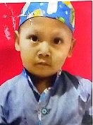 محمد الغزالي 