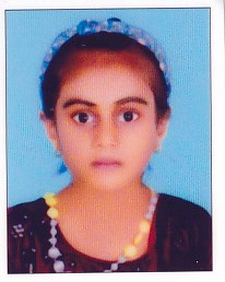 مِسبة مول فيسل