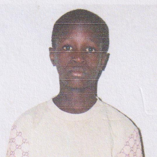 دمب  مامادو صمب جينك