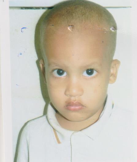 محمد الزين احمد امبد