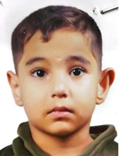 ايمن محمد خير عيسى الشويات