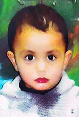 سيف الدين خلدون حسن العفادلة